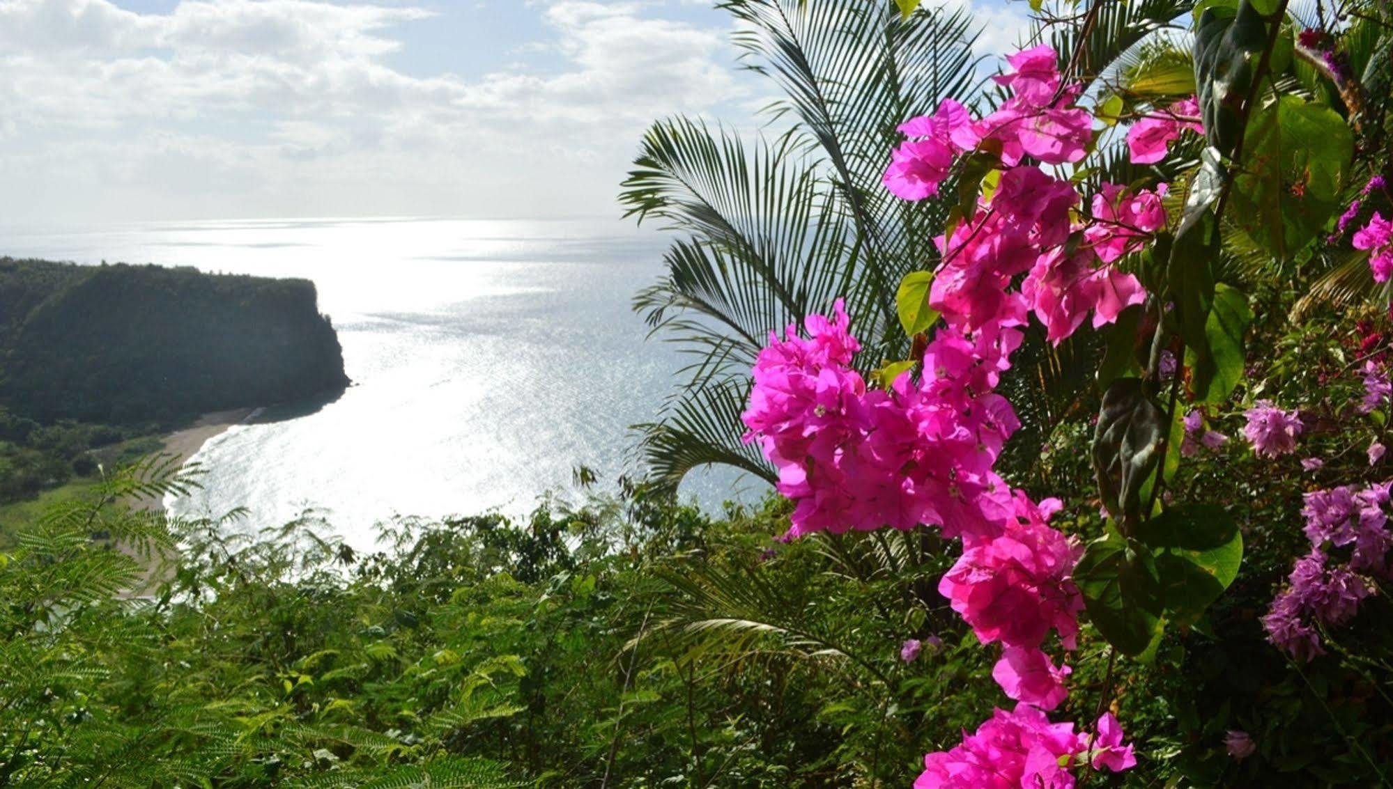 مبيت وإفطار ماريغوت باي Nature'S Paradise المظهر الخارجي الصورة